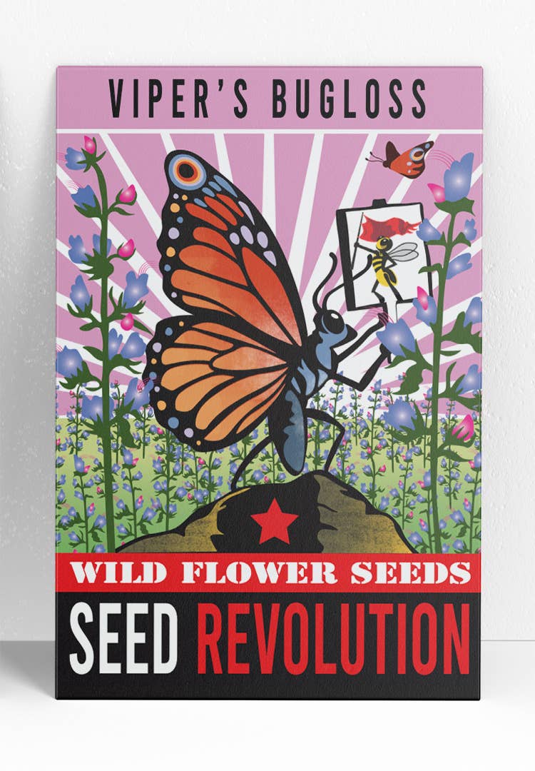 Viper’s Bugloss Wildflower Seeds