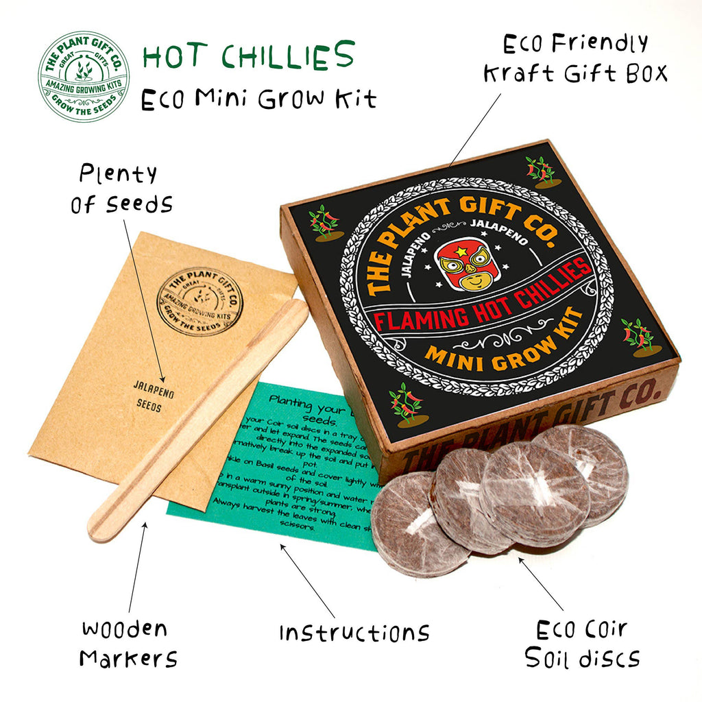 Flaming Hot Chillies. Eco Mini Chilli Grow Kit