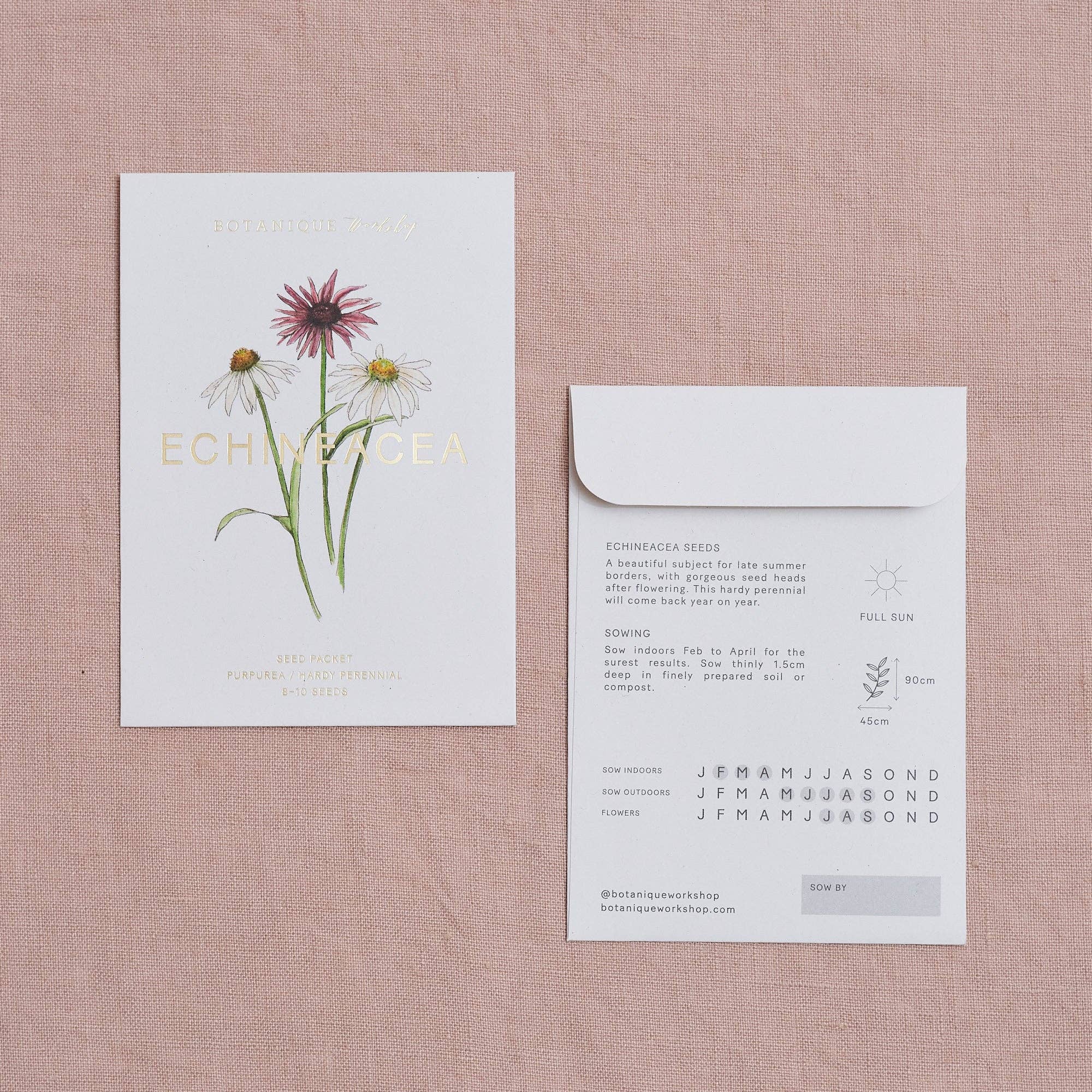 Echinacea Purpurea Seed Packet