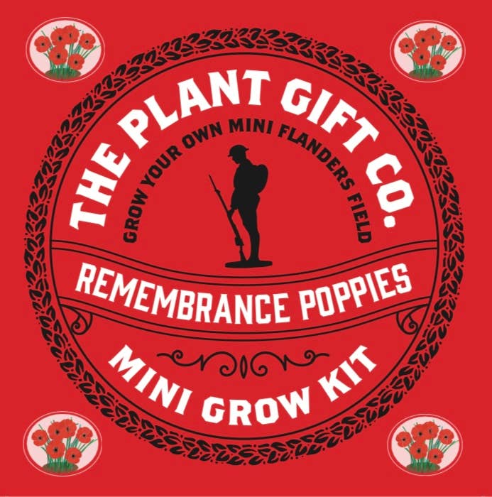 Remembrance Poppies Eco Mini Grow Kit