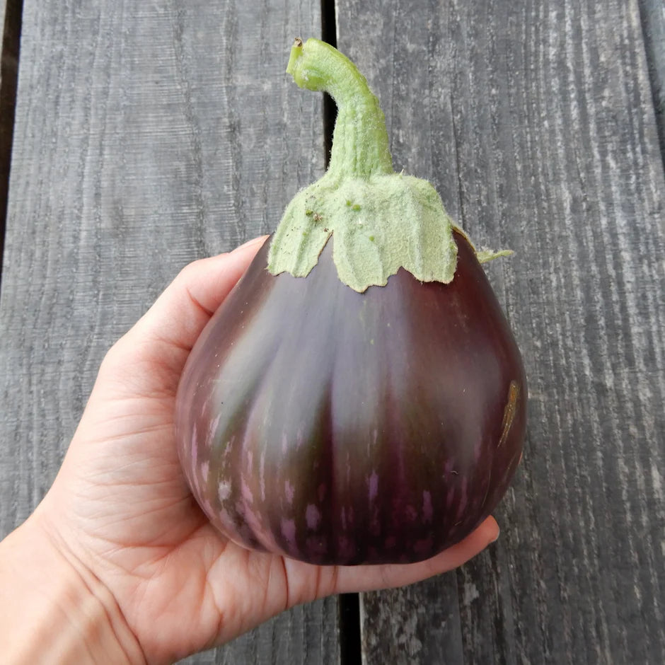 Hand holding an aubergine against a wooden background