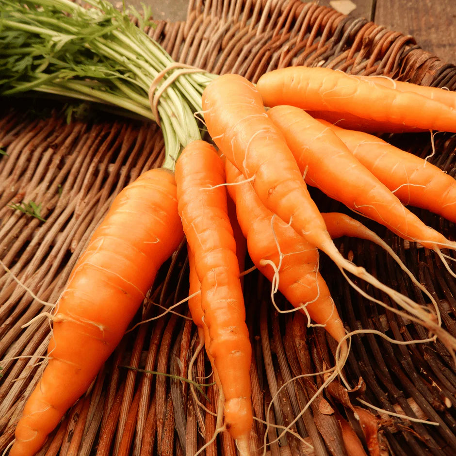 Bunch of orange carrots on a woven surface