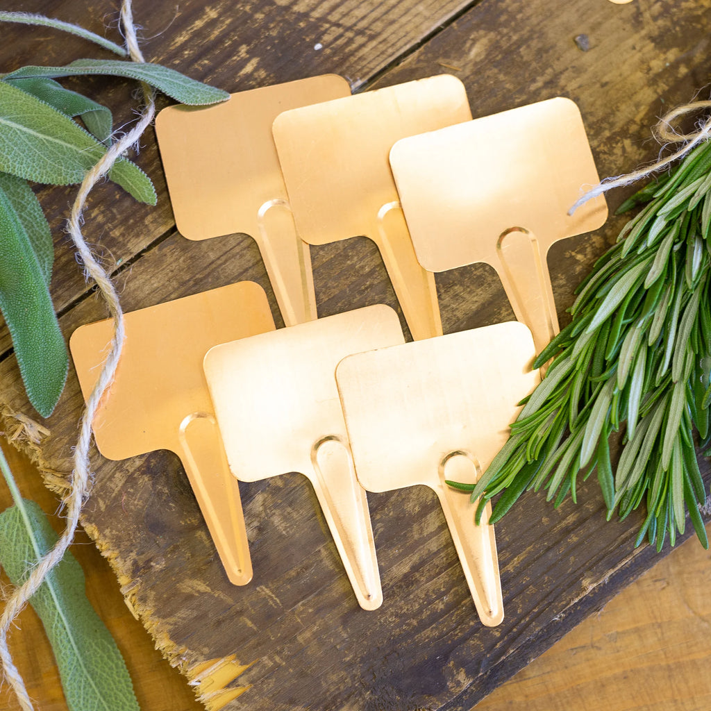 Copper Plant Labels
