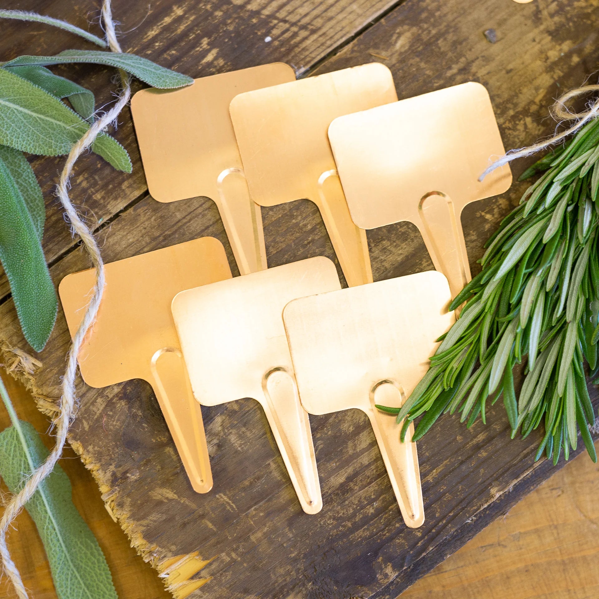 Copper Plant Labels