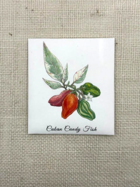 Cuban Candy Fish Chilli Pepper Seeds