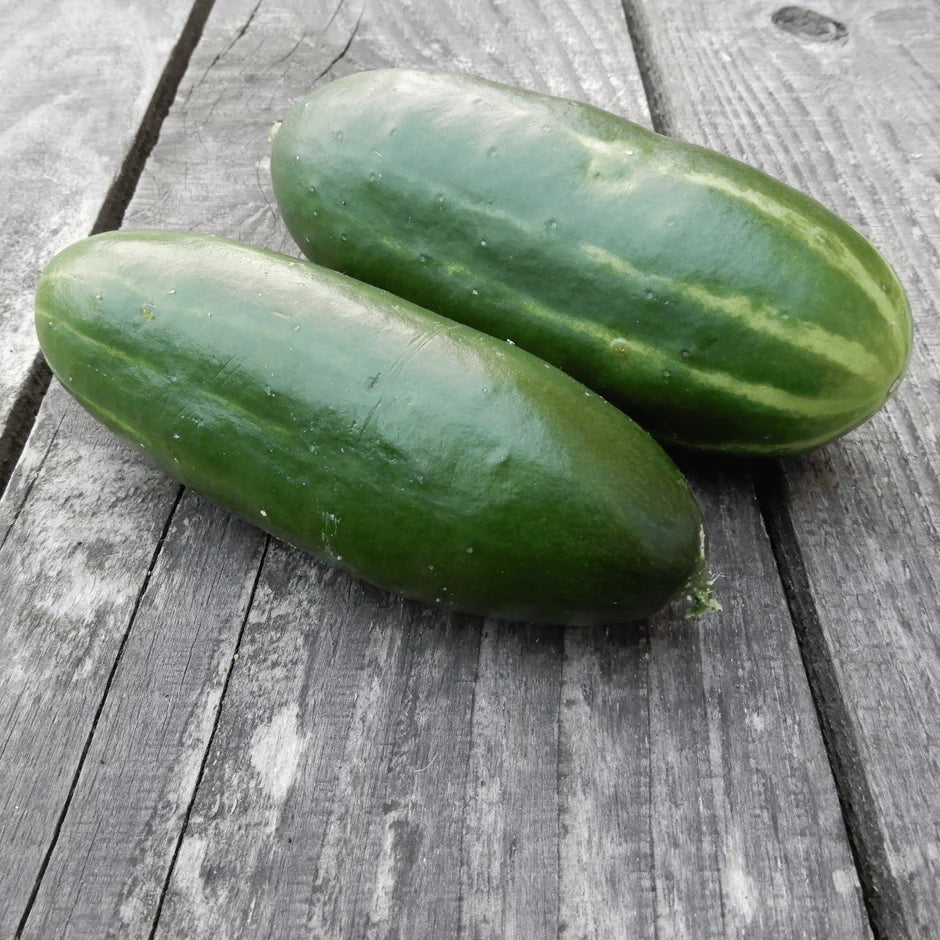 Two cucumbers on a wooden surface