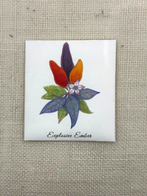 Explosive Ember Chilli Pepper Seeds