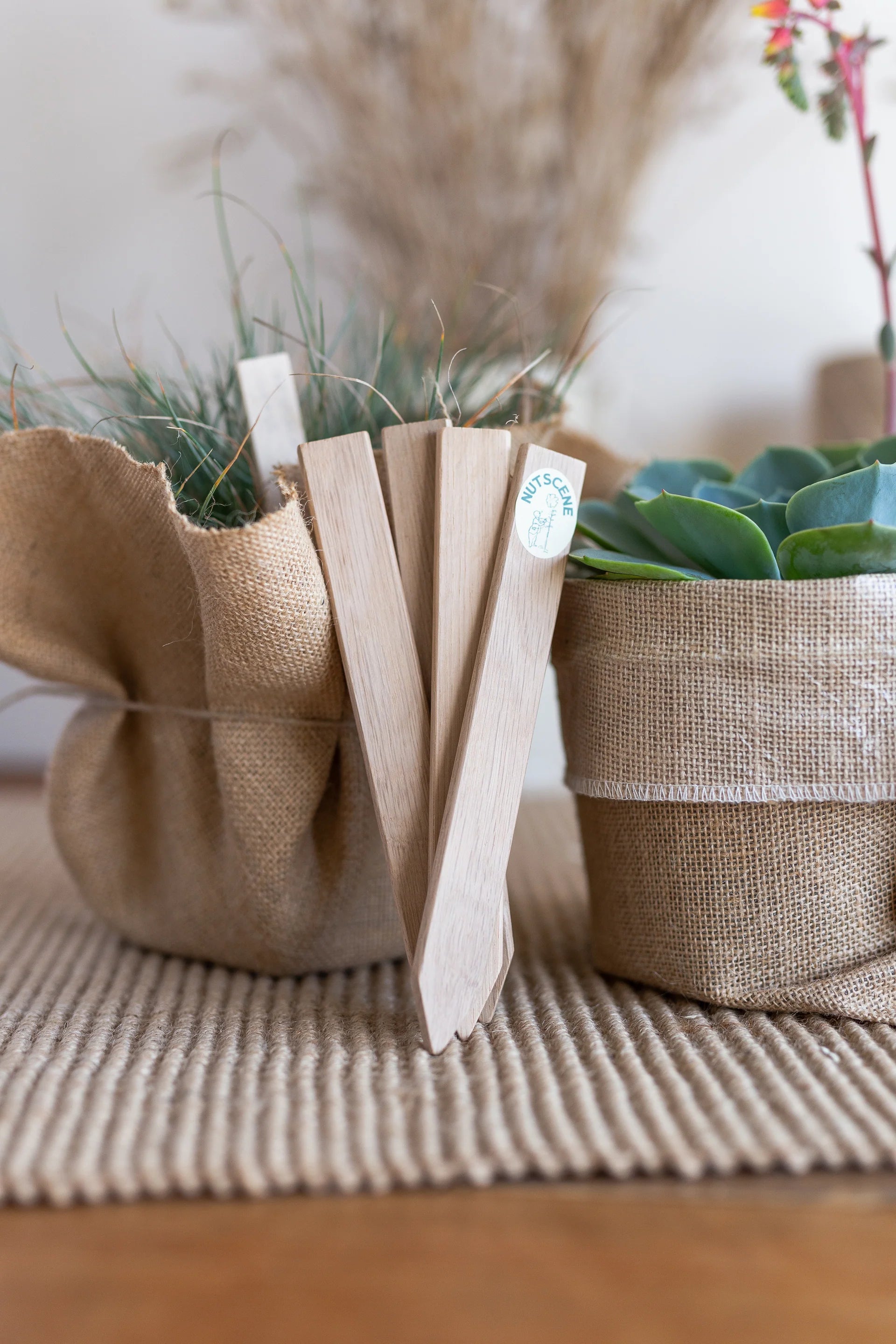 Wooden Plant Labels with Pencil