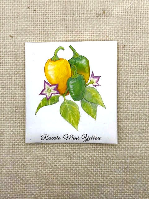 Rocoto Mini Yellow Chilli Pepper Seeds