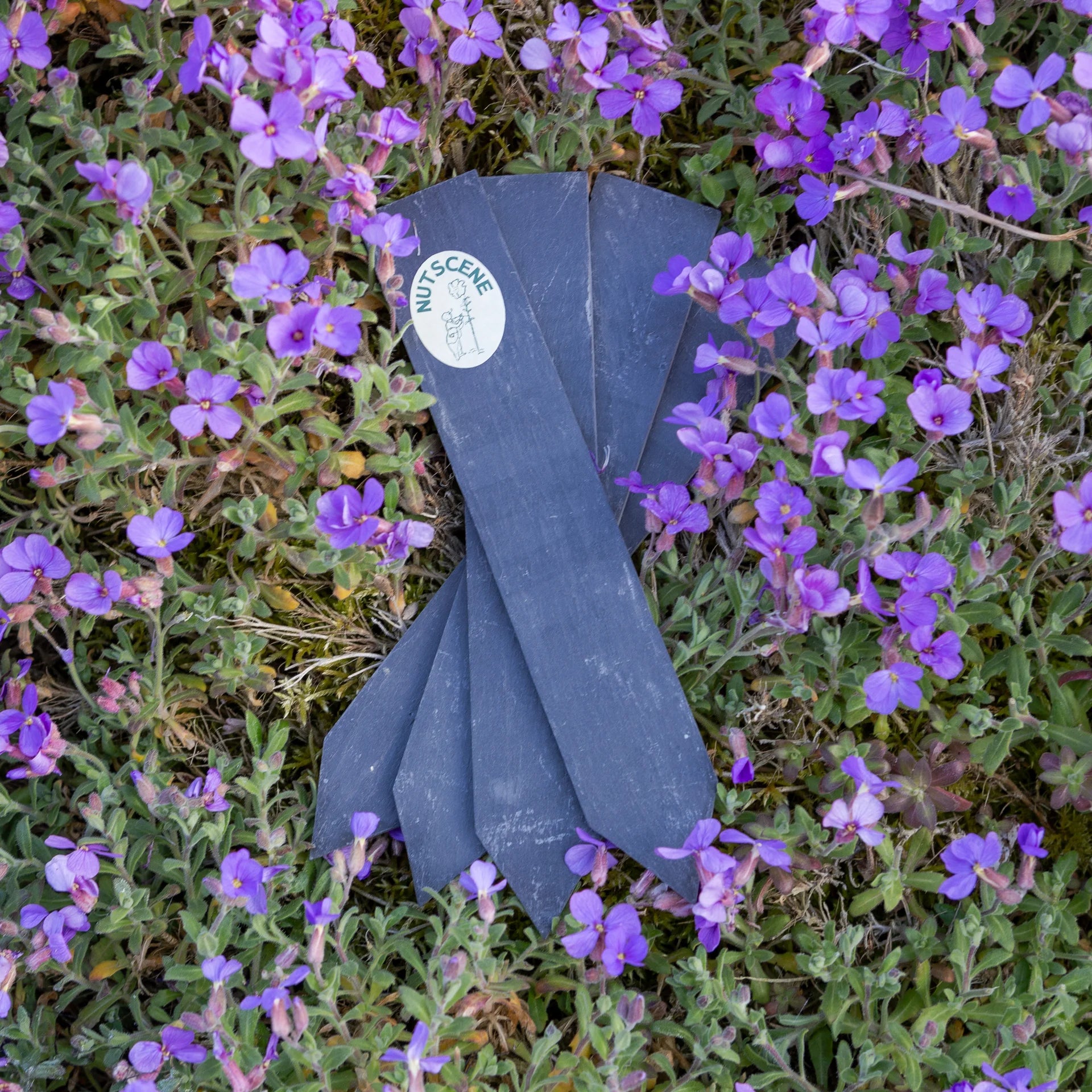 Garden Slate Plant Labels