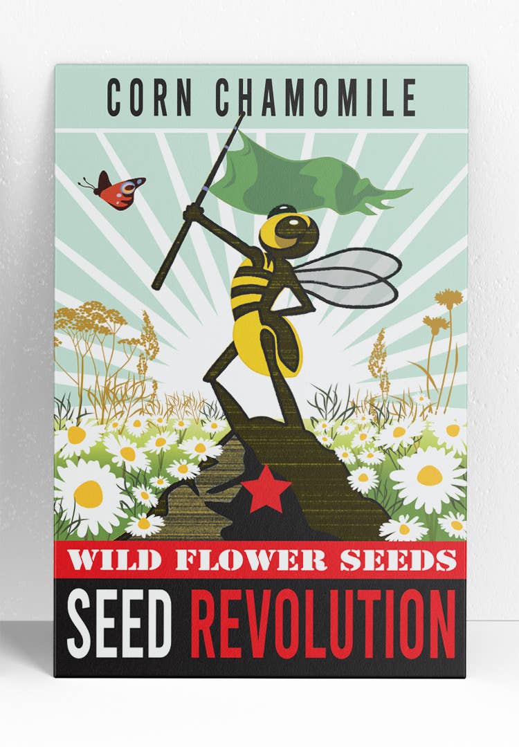 Corn Chamomile Wildflower Seeds