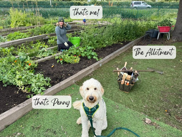 Person and dog in an allotment garden with labeled text
