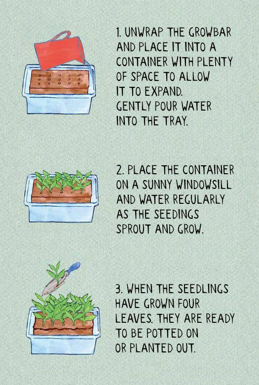 The Exotic Vegetable Growbar