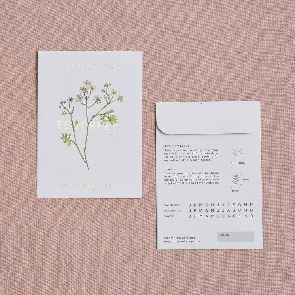 Feverfew Tanacetum Seed Packet