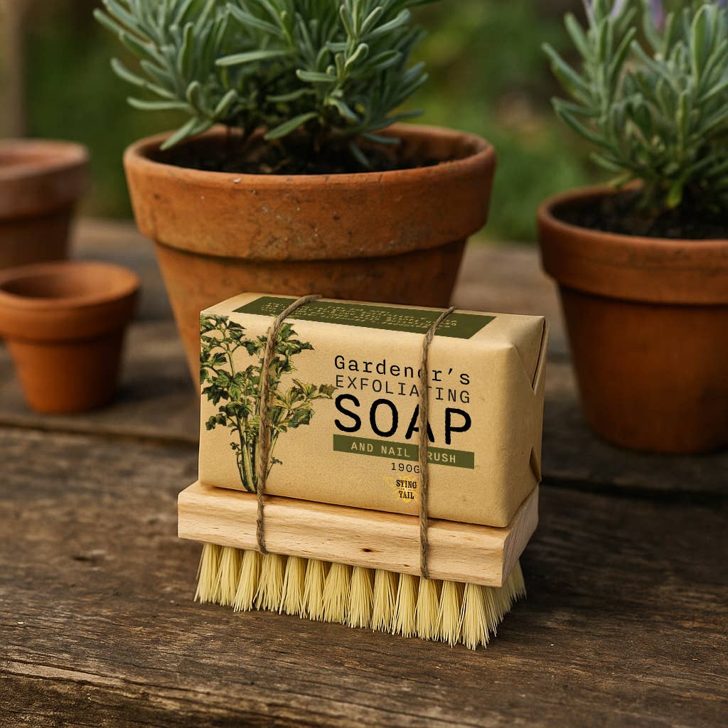Gardens Collection Olive Soap and Nail Brush