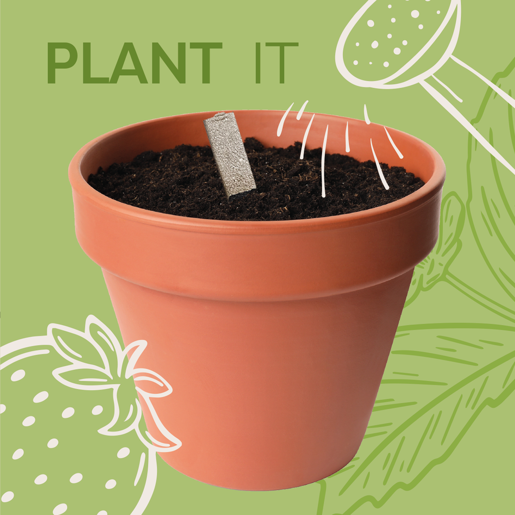 Veggie Patch Seedsticks®