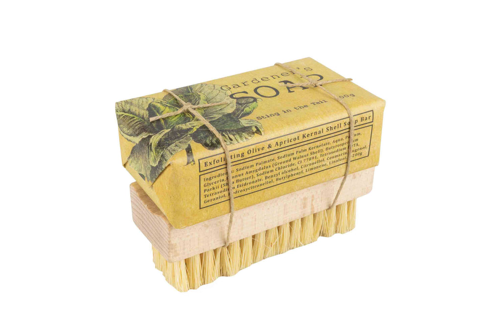 Gardens Collection Olive Soap and Nail Brush