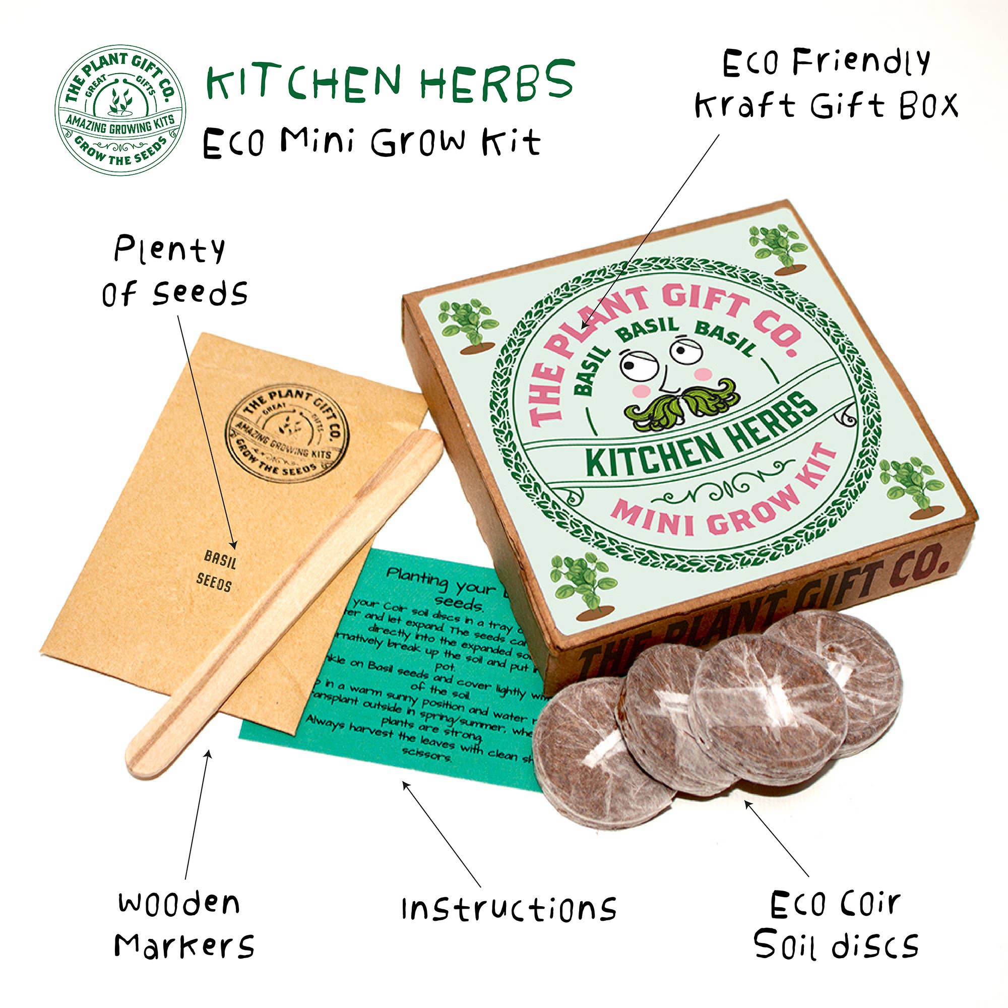 Kitchen Herb. Eco Mini Basil Grow Kit