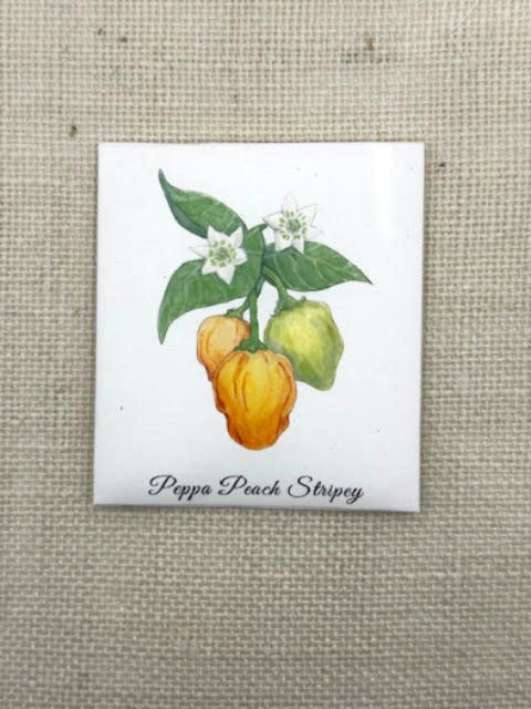 Peppa Peach Stripey Chilli Pepper Seeds